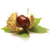 Crema pentru picioare, cu vita de vie si plante BIO, Life Care®